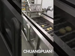 Come si produce l'acqua di cocco?Vediamo come funziona la fabbrica di cocco