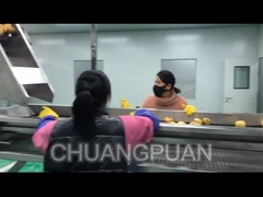 Come si produce il succo di frutta in fabbrica?Vediamo come funziona la linea di lavorazione del succo di pera