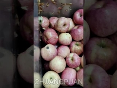 Conosci il succo di HPP? Vediamo come funziona la linea di produzione di succo di mele