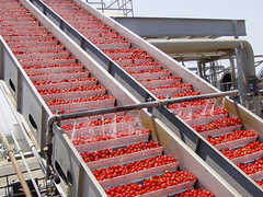 Linea di produzione automatica della passata di pomodoro