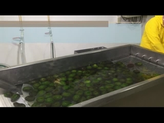 Come trasformare la polpa di avocado HPP o raffreddare?