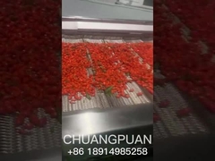 Sapete come viene prodotto il succo di spinace? vediamo insieme