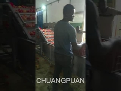 Andiamo a vedere una linea di produzione di pasta di pomodoro di tipo medio in Africa al lavoro.